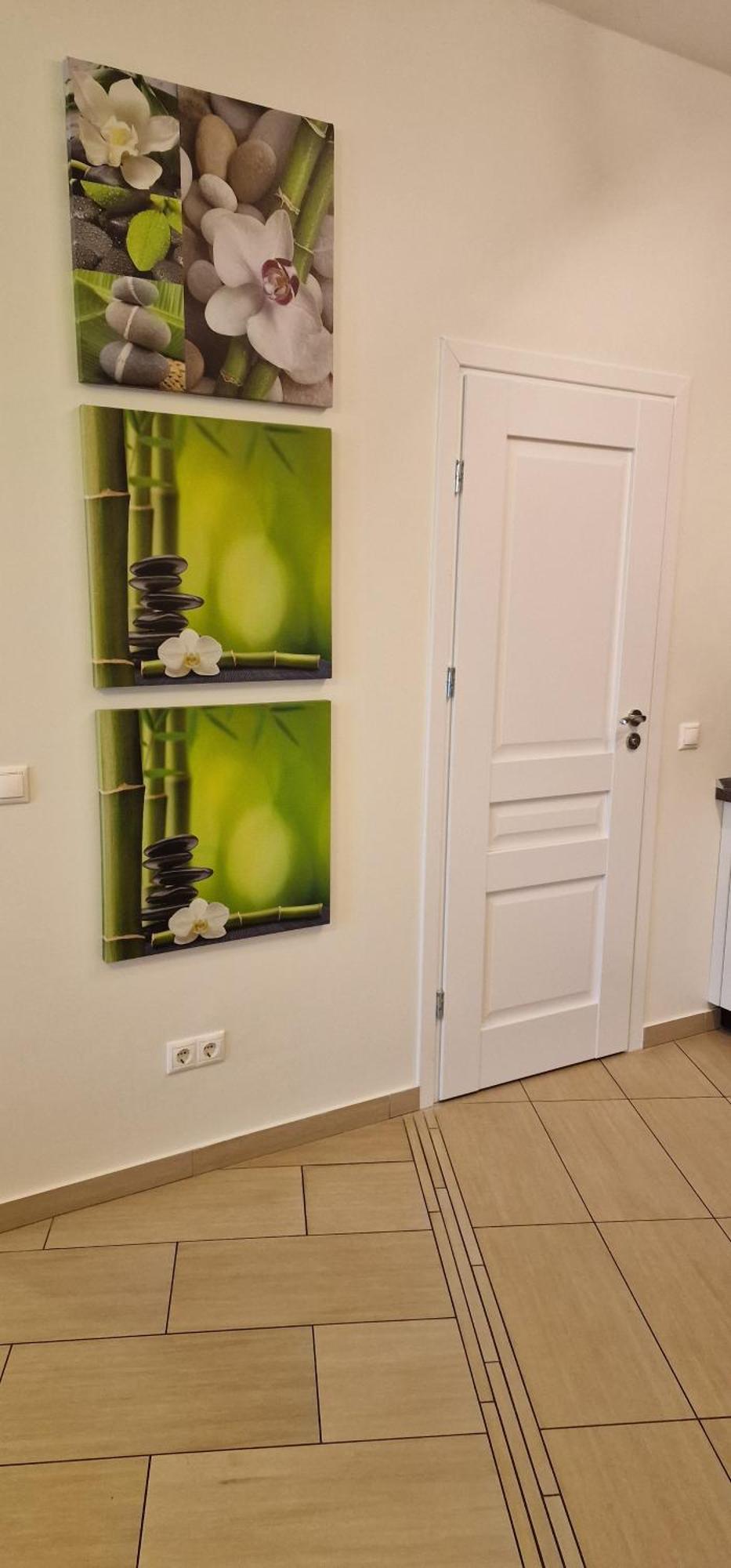 Palanga Apartaments - Mickeviciaus 8 Kültér fotó